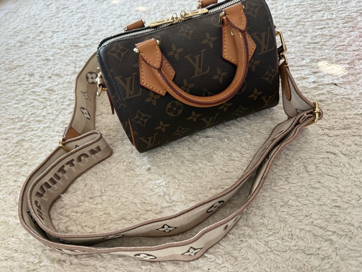 Louis Vuitton Borse da donna: Louis Vuitton Speedy 20 Tasche  – Usato da Basel venduto da man_nx6q 1