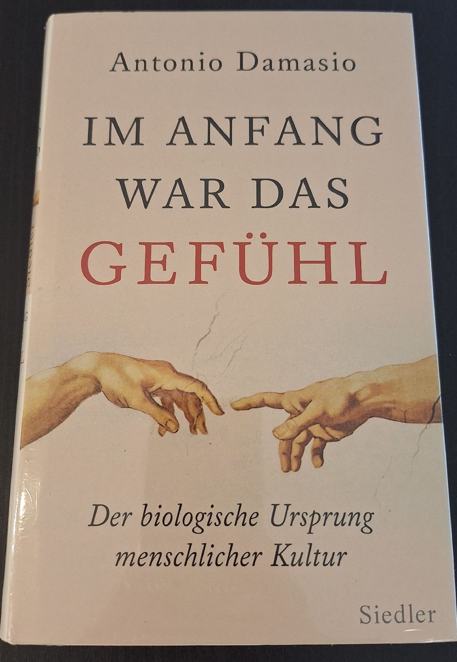 Bücher: Antonio Damasio "Im Anfang war das Gefuehl" Buch – Neu und originalverpackt aus Horw von lee_mml6
