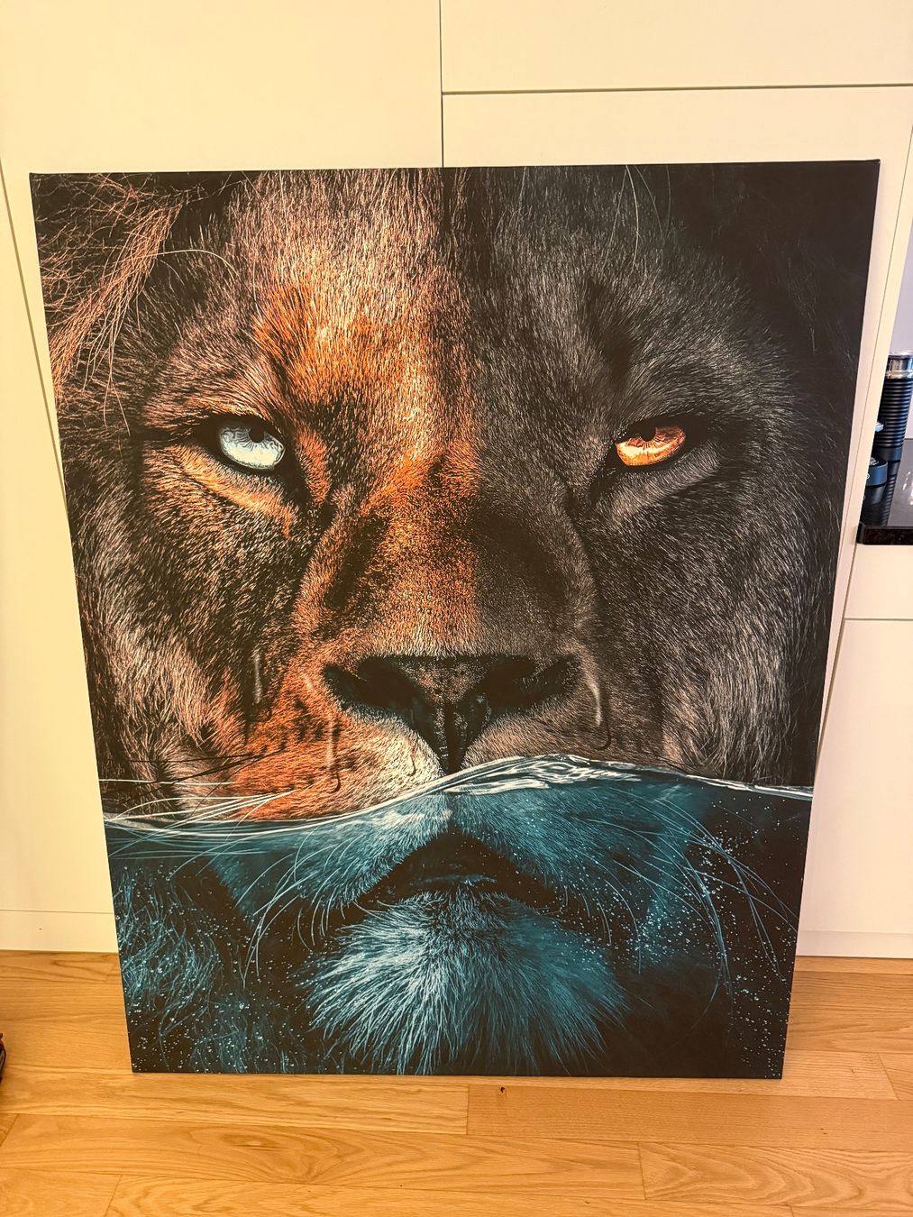 Poster & Bilder: Bild Löwe 110cm x 140cm – Gebraucht aus Menznau von marco._s3 1