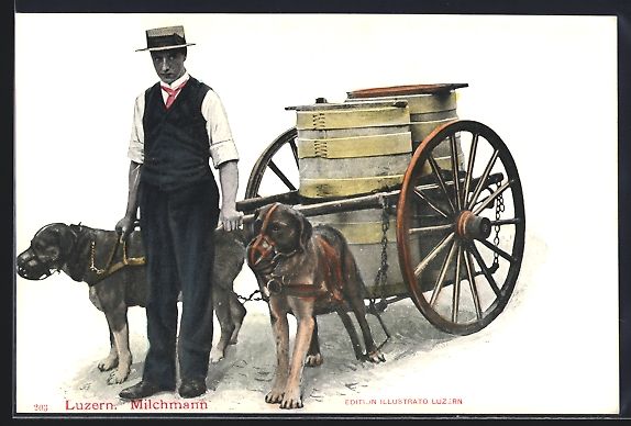 Cartes postales: AK Luzern, Milchmann mit Hundegespann – D'occasion à Berlin par bartko-reher