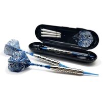 Dartset 21g mit Case