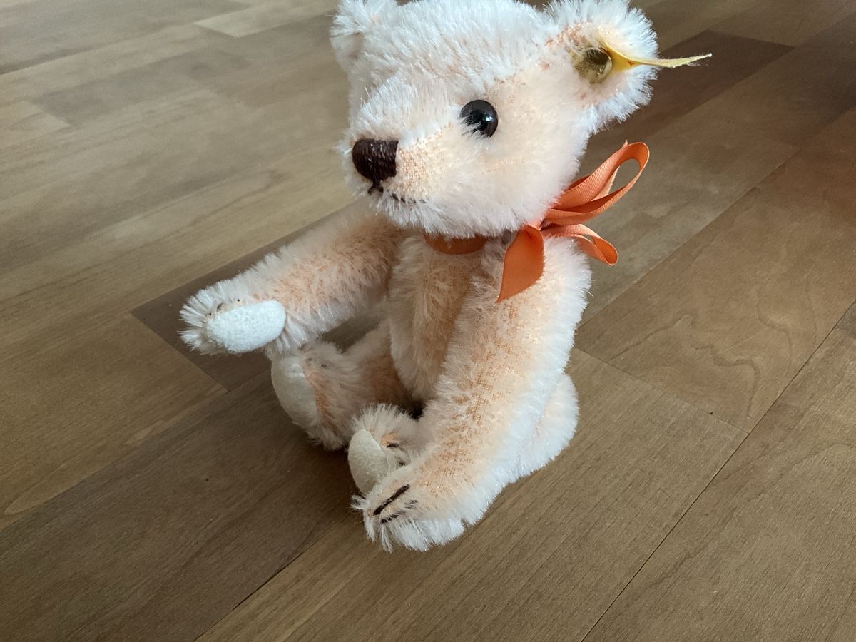 Steiff Giocattoli: 2 Steiff Teddybären – Nuovo (secondo la descrizione) da Schmitten FR venduto da Chili58 5