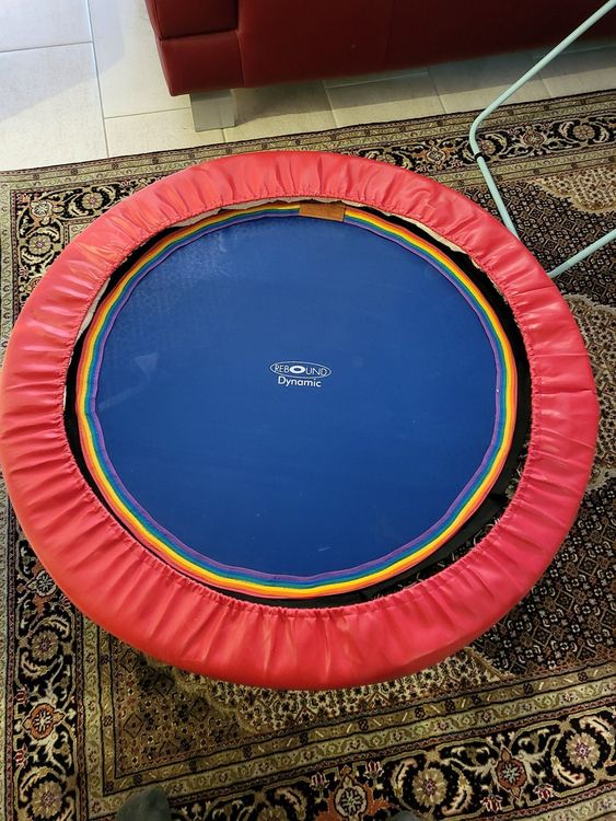 Rebounder Kaufen auf Ricardo