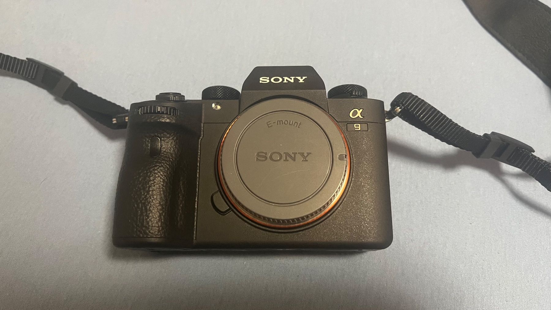 Sony Fotocamera: Sony A9 Mark 1 – Usato da Obfelden venduto da PaZe03
