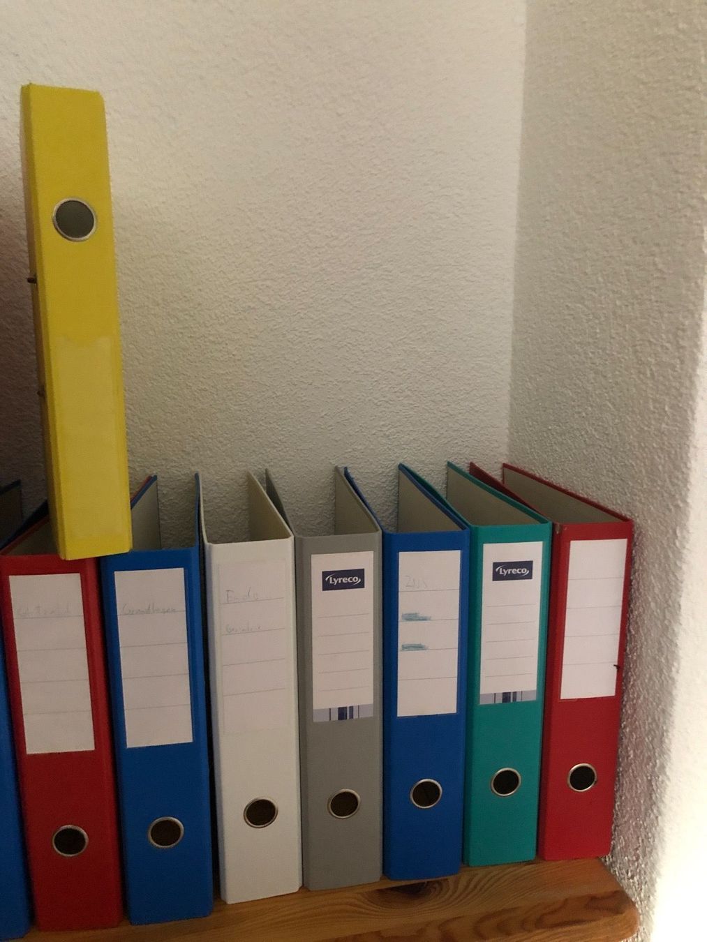 Raccoglitori: 21x Ordner – Usato da Schlieren venduto da Flower5 1