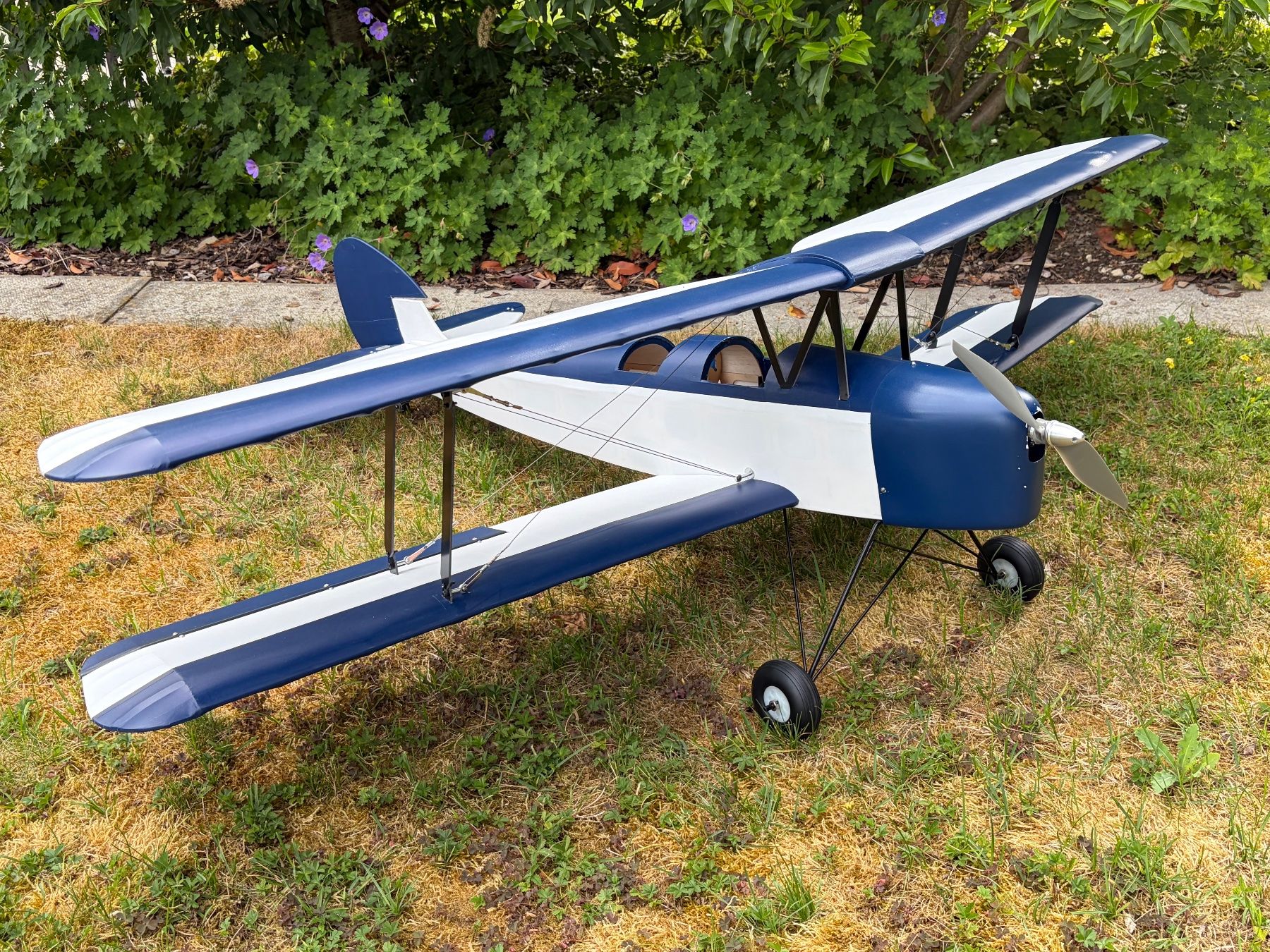 Modellismo RC: Tiger Moth 140cm Spannweite – Usato da Knonau venduto da Cirrus7 2
