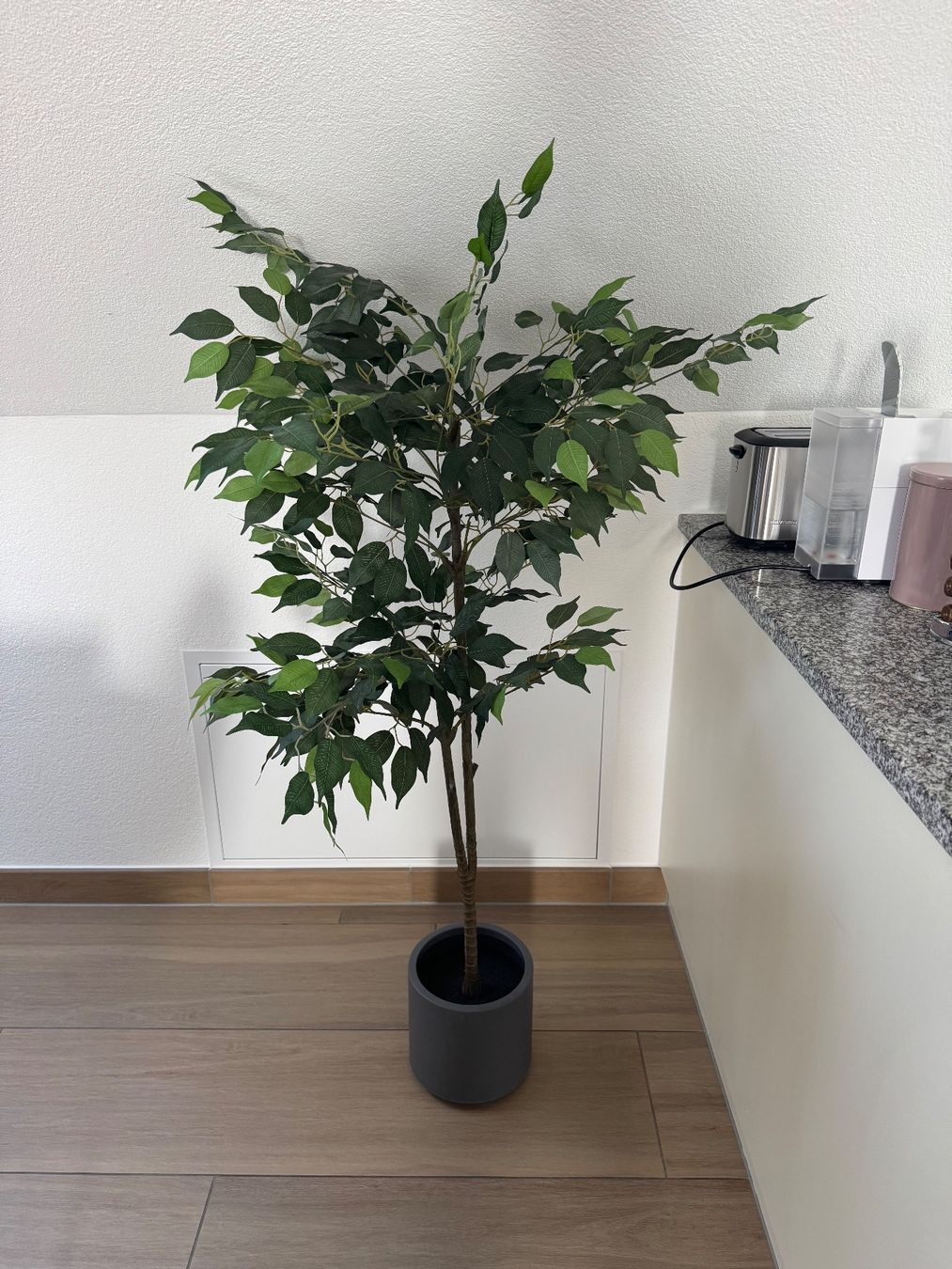 Piante & sementi: Schöne Kunstpflanze 150cm – Usato da Aadorf venduto da rin_7kjn