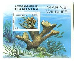 Block "Fische, Korallen". Dominica.