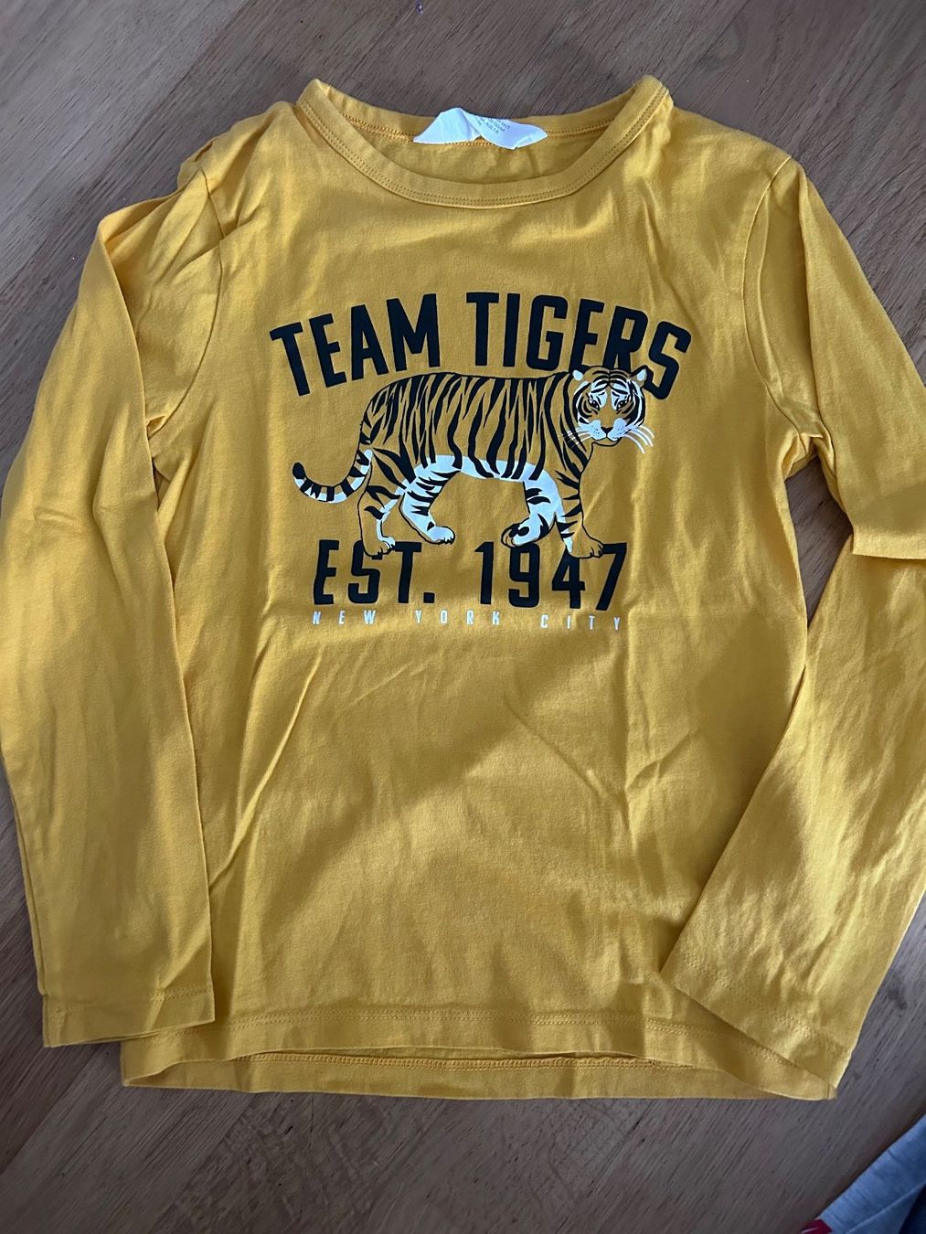 H&M Maglioni & Felpe: Langarm Shirt Gr. 128, neu – Nuovo (secondo la descrizione) da Frauenfeld venduto da manuburg