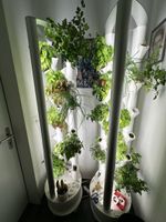 1 Everleaf Garden das Original