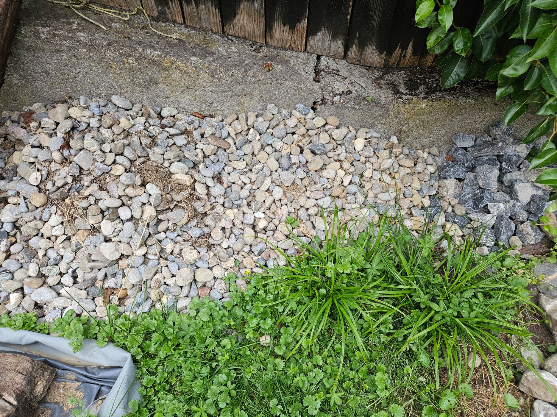 Pierres & tuiles: Steine/ Gartensteine kostenlos – D'occasion à Saland par Rose0109 2