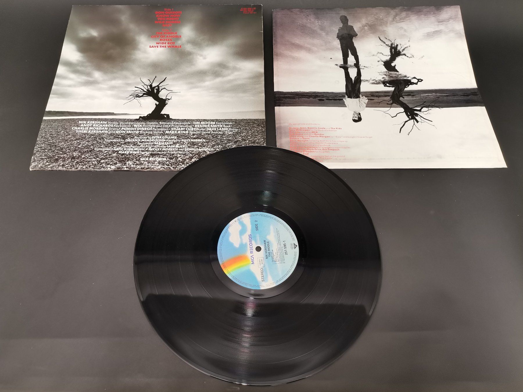 Dischi in vinile: SCHALLPLATTE Vinyl Nik Kershaw "The Riddle" – Usato da Schaffhausen venduto da Restwert_SH 4