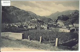 Bellinzona - Veduta generale (beschnitten)