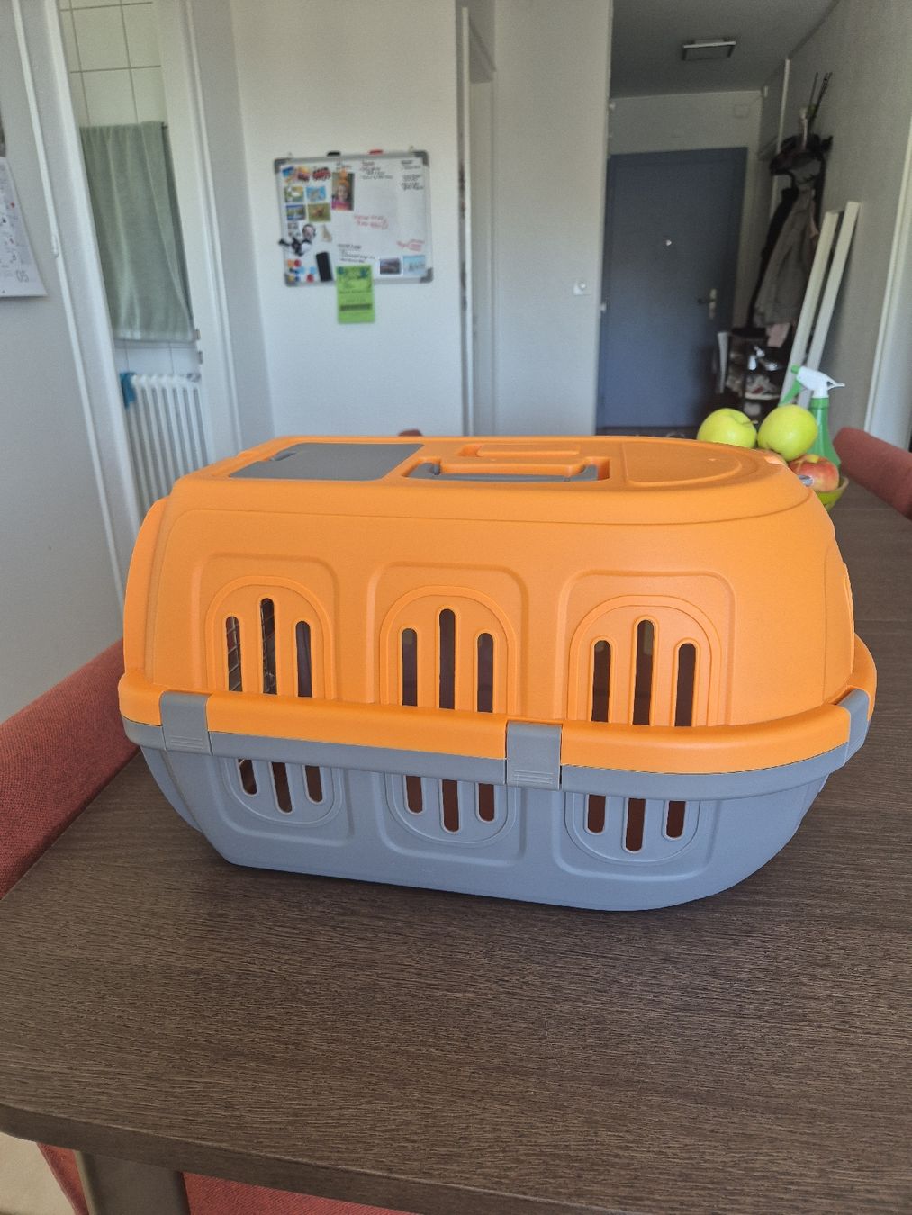 Cages, transport & sécurité: Caisse transport pour chat – D'occasion à Les Hauts-Geneveys par leo_5jl5 1