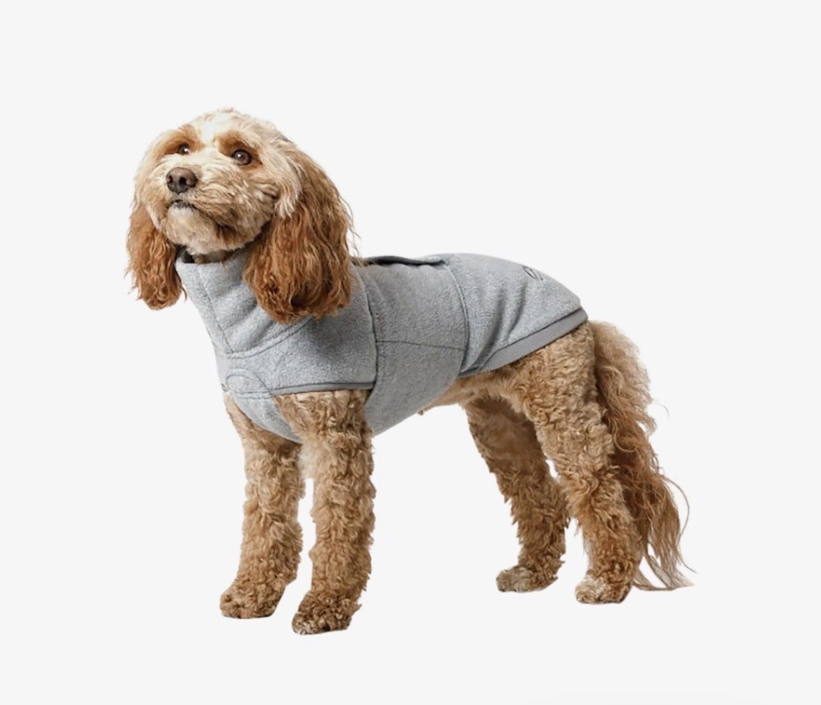 Cloud7 Abbigliamento: CLOUD7 Hundepullover Fleece grau 36x47 – Usato da Lengnau AG venduto da Mc66 1