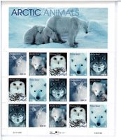 USA Arctic Animals **
