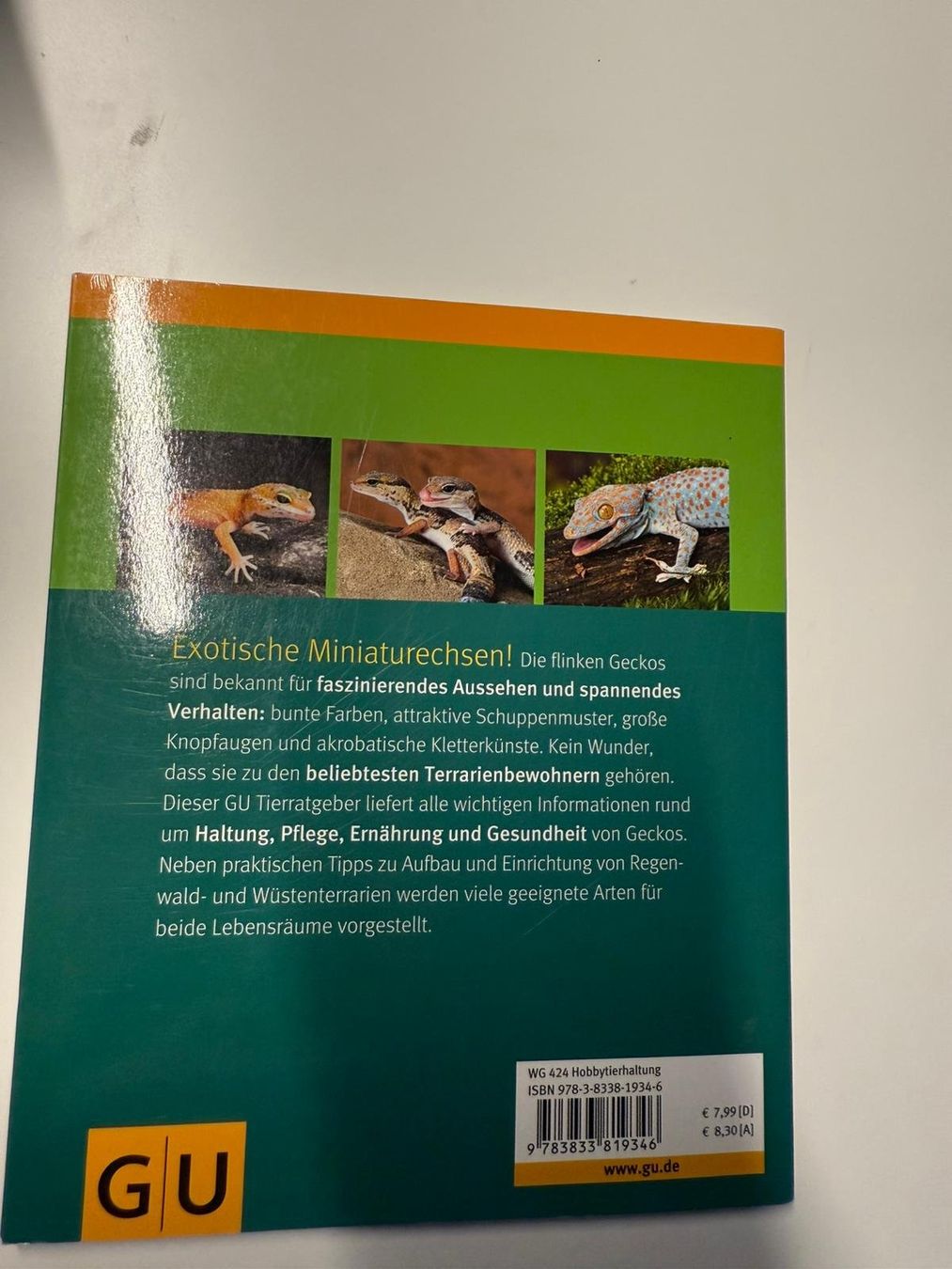 Libri: Geckos - GU Tierratgeber – Nuovo (secondo la descrizione) da Zweisimmen venduto da KoBo88 2