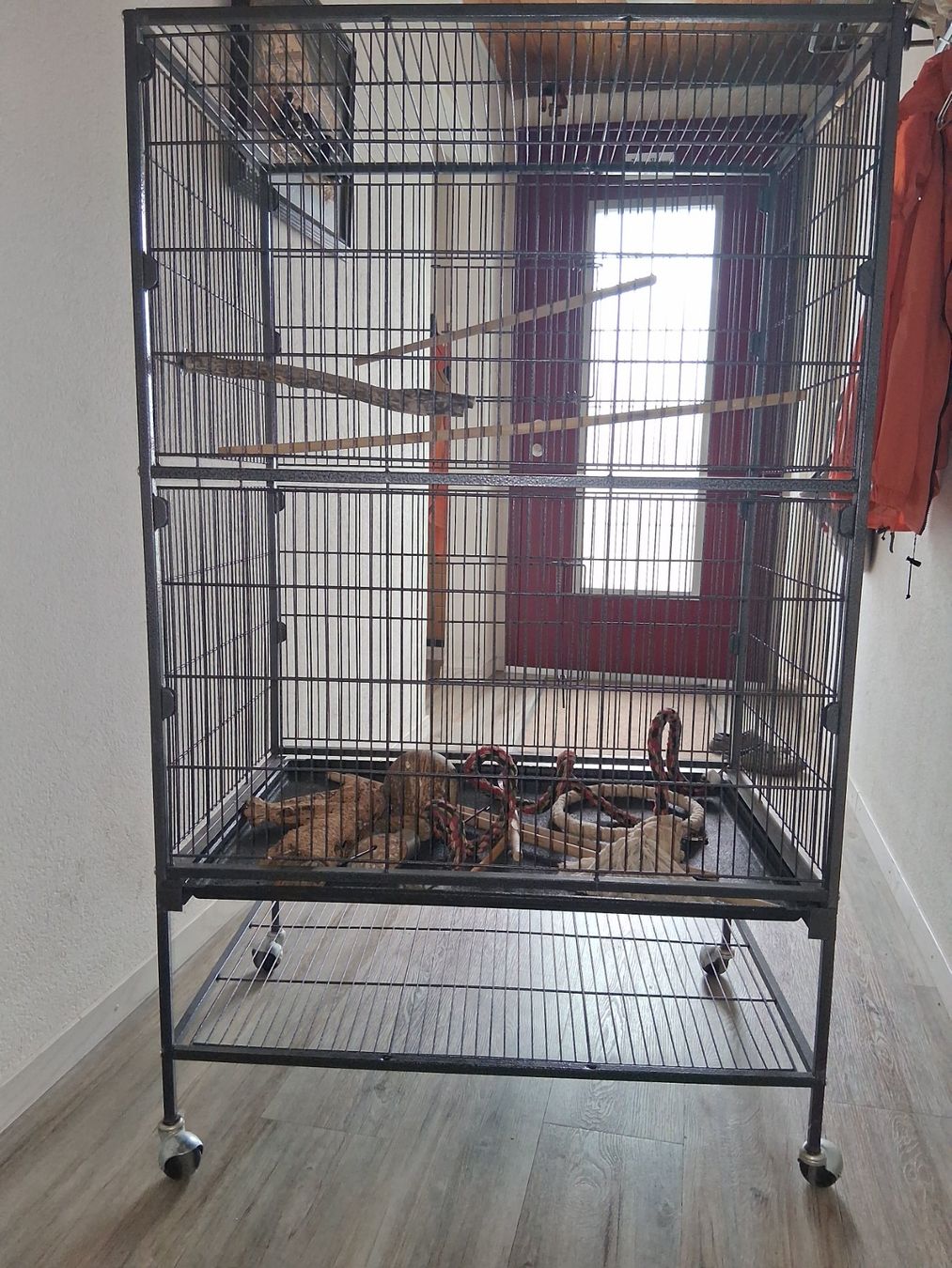 Gabbie, trasporto & Sicurezza: Vogelvoliere auf Rollen – Usato da Erlen venduto da Katzenjimmy2 2