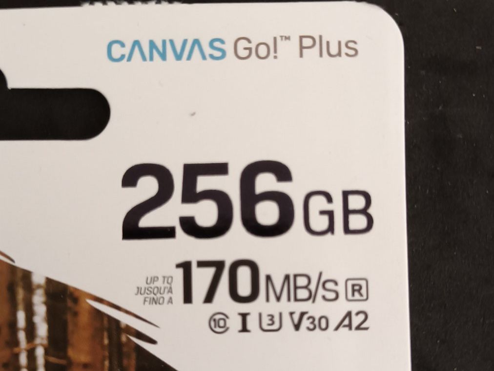 Kingston Speicherkarten: Kingston microSD 256GB (SDCG3-256GBSP) – Neu und originalverpackt aus Zürich von Tgreuti 1