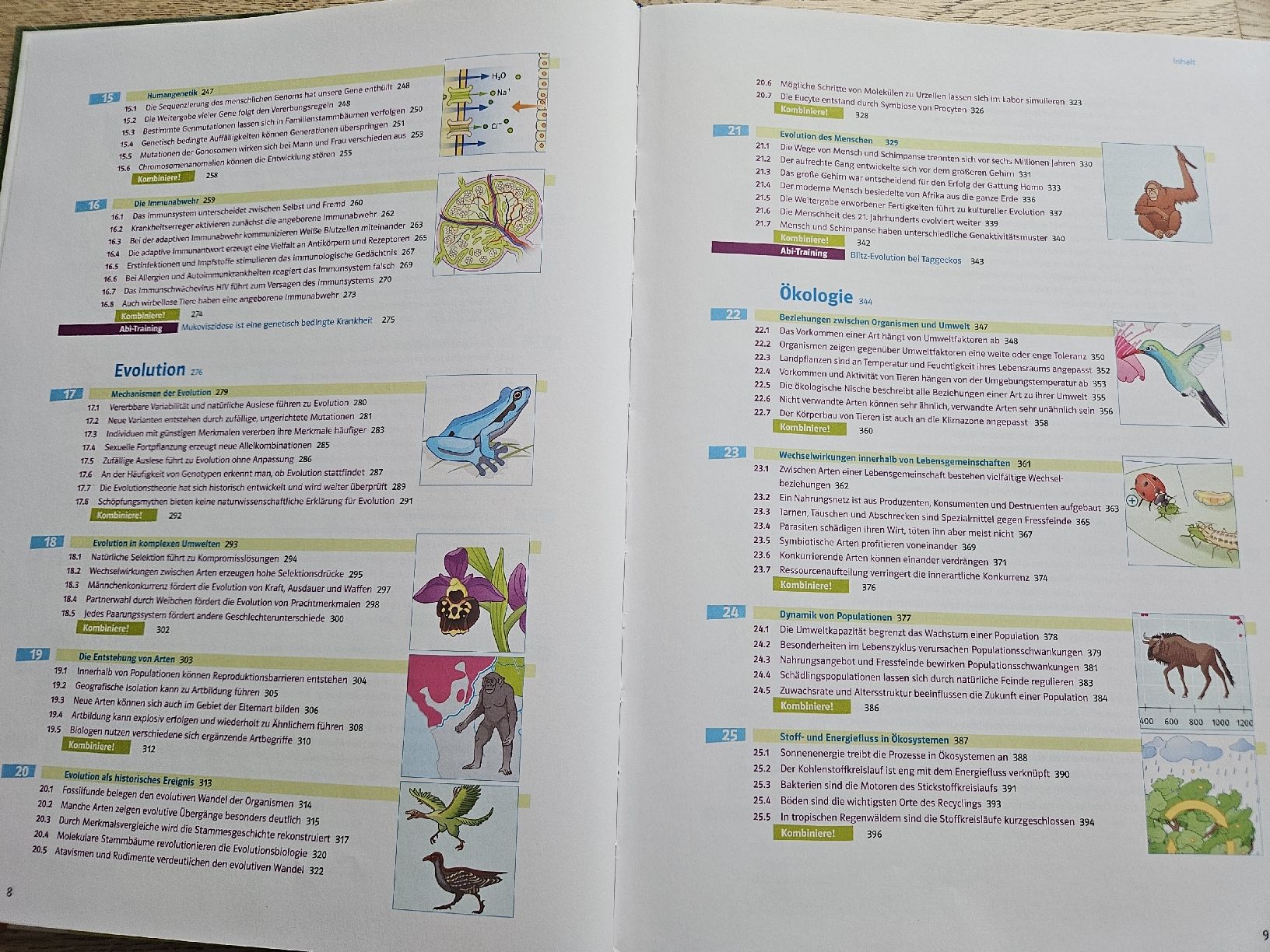 Libri: Markl Biologie | Oberstufe – Nuovo (secondo la descrizione) da Hüntwangen venduto da lev_pc9m 3