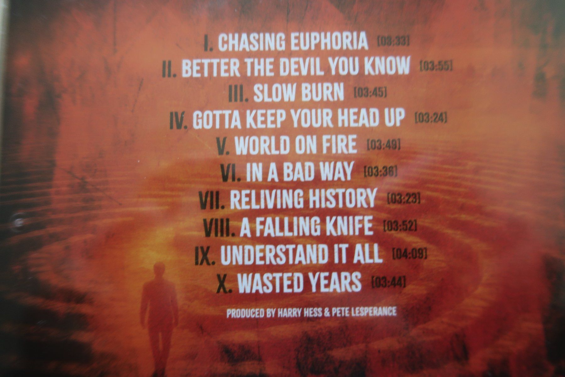 CDs: HAREM SCAREM - CHASING EUPHORIA - MELODIC ROCK CD – D'occasion à Basel par Patiscat 2