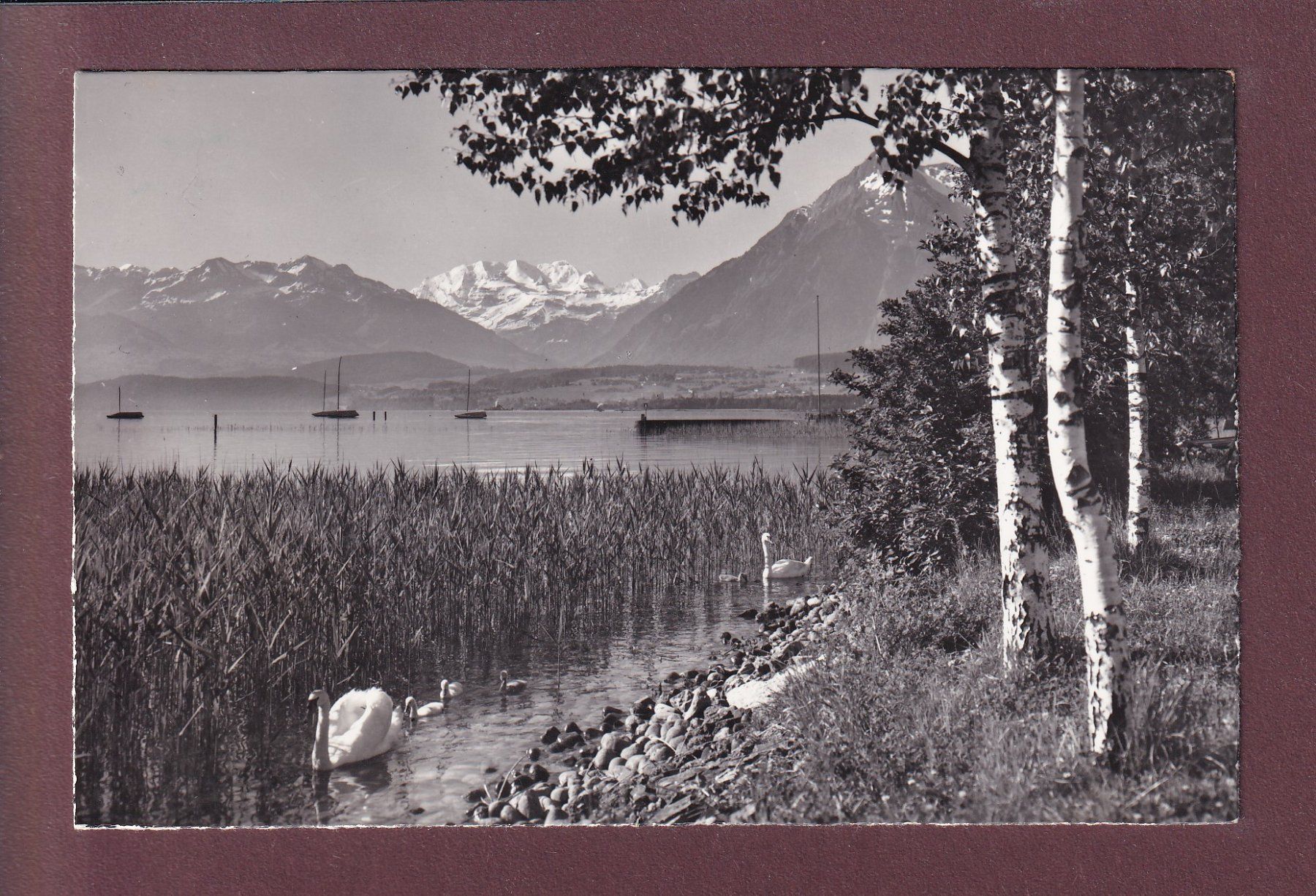 Cartoline postali: Am THUNERSEE - Blümlisalp - 1963 – Usato da Pully venduto da nicecards