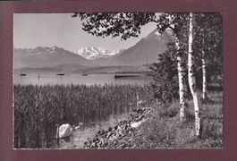 Am THUNERSEE - Blümlisalp - 1963