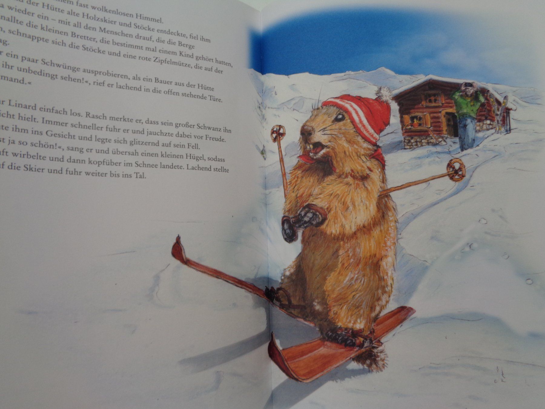 Libri: Linard der Murmelibuab - Philipp Gurt Alexander Rys – Usato da Chur venduto da Oregano1 3
