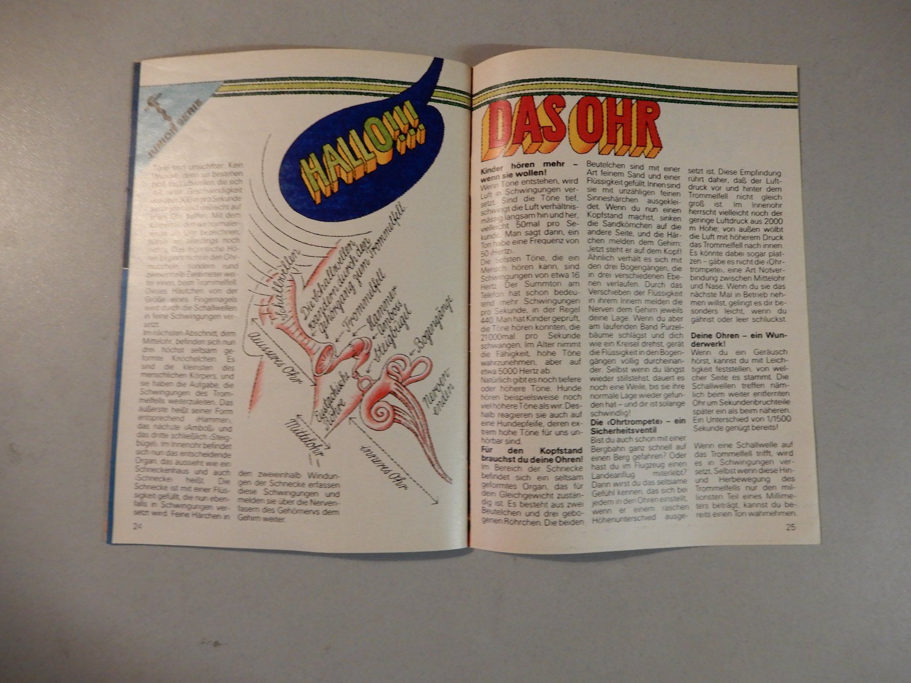 Riviste & Magazine: Junior Kindermagazin Oktober 1982 Giraffe – Usato da Erstfeld venduto da Mario_boe0 6