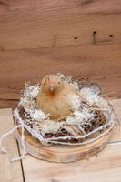 handgefertigte Tischdeko mit Vogel im Nest - Naturdeko