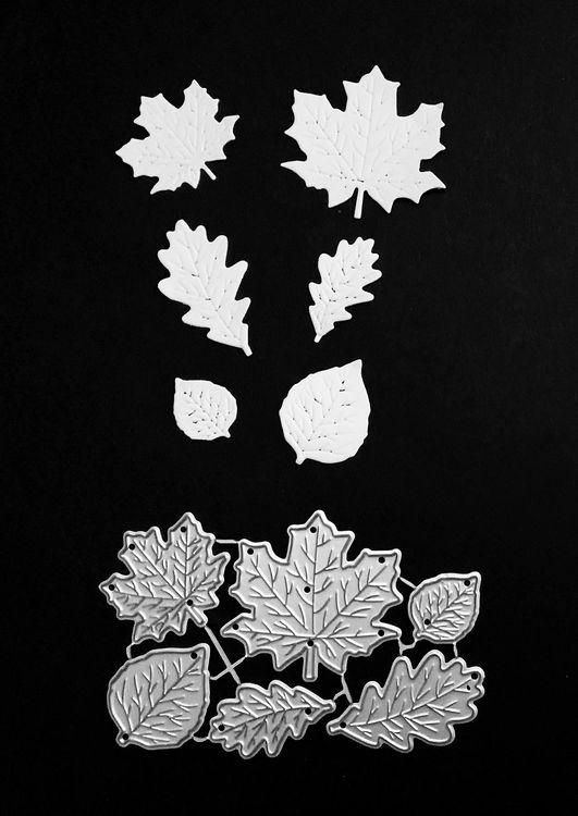 Grafikstanzer Kreis-Stanzform 50mm - Stapelschneider Für Papier & Karten