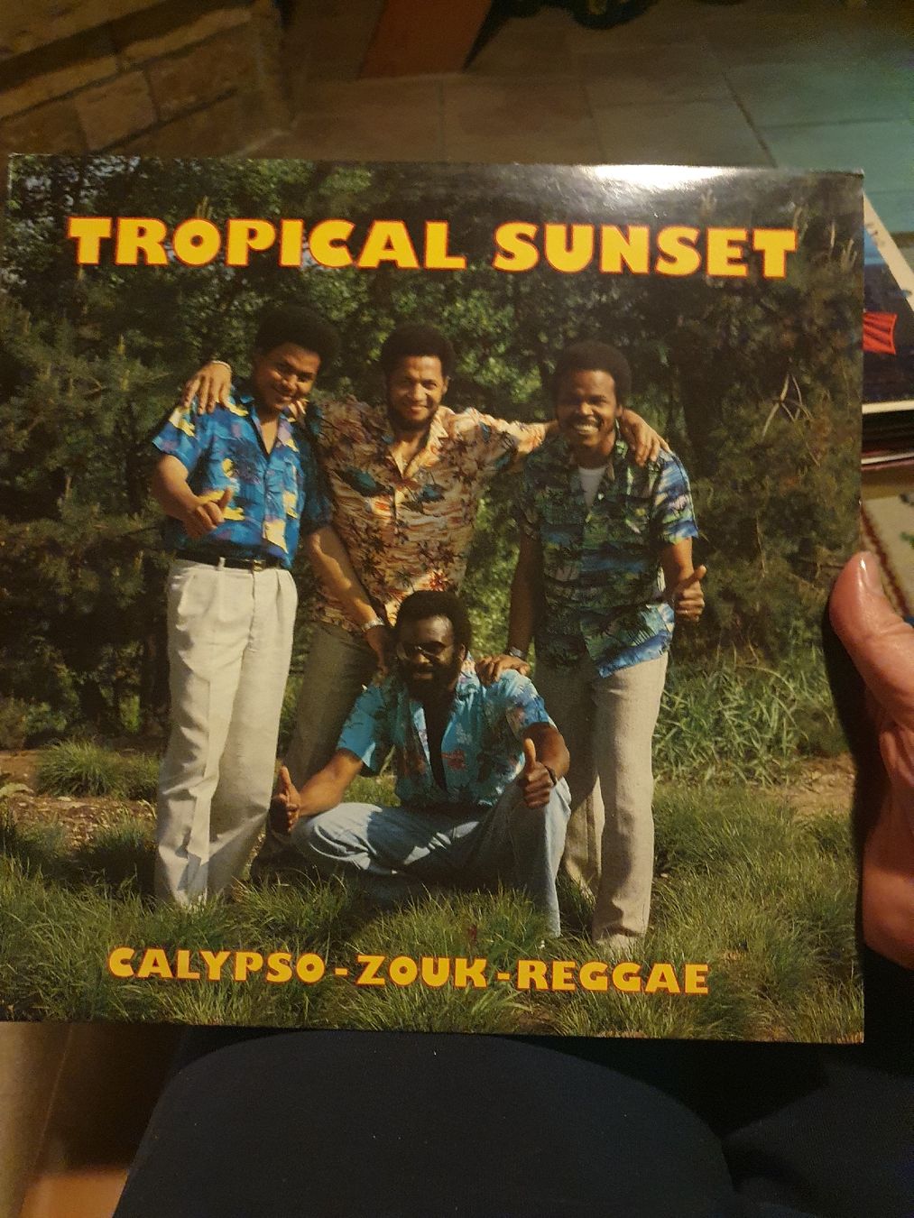 Dischi in vinile: Tropical Sunset LP, Calypso, Zouk, Reggae – Usato da Grandval venduto da JeroenK
