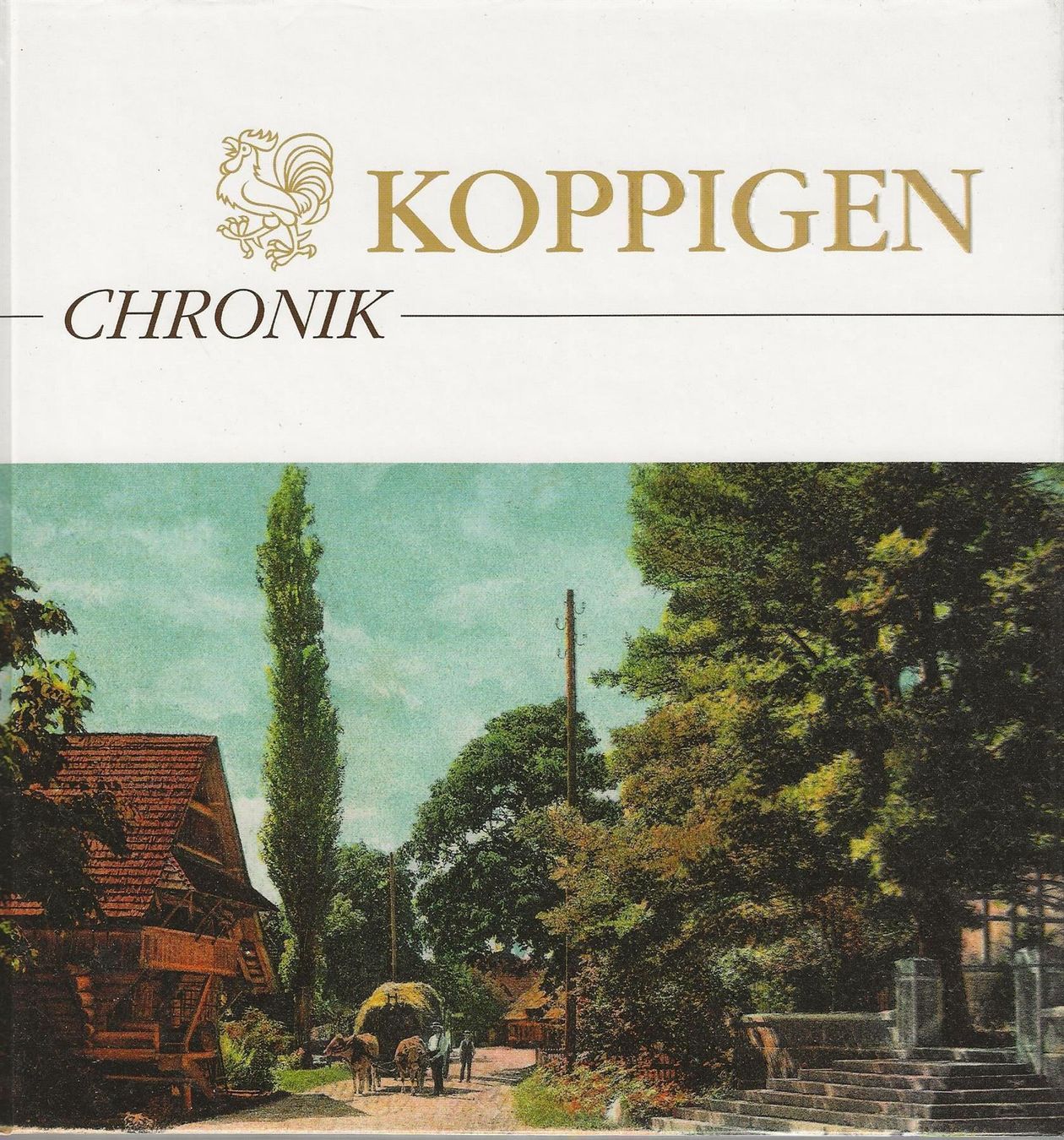 Bücher: Koppigen Chronik – Gebraucht aus Bern von Grindelwaldaus