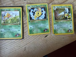Pokémon Koga's Beedrill, Kakuna und Weedle Gym Challenge
