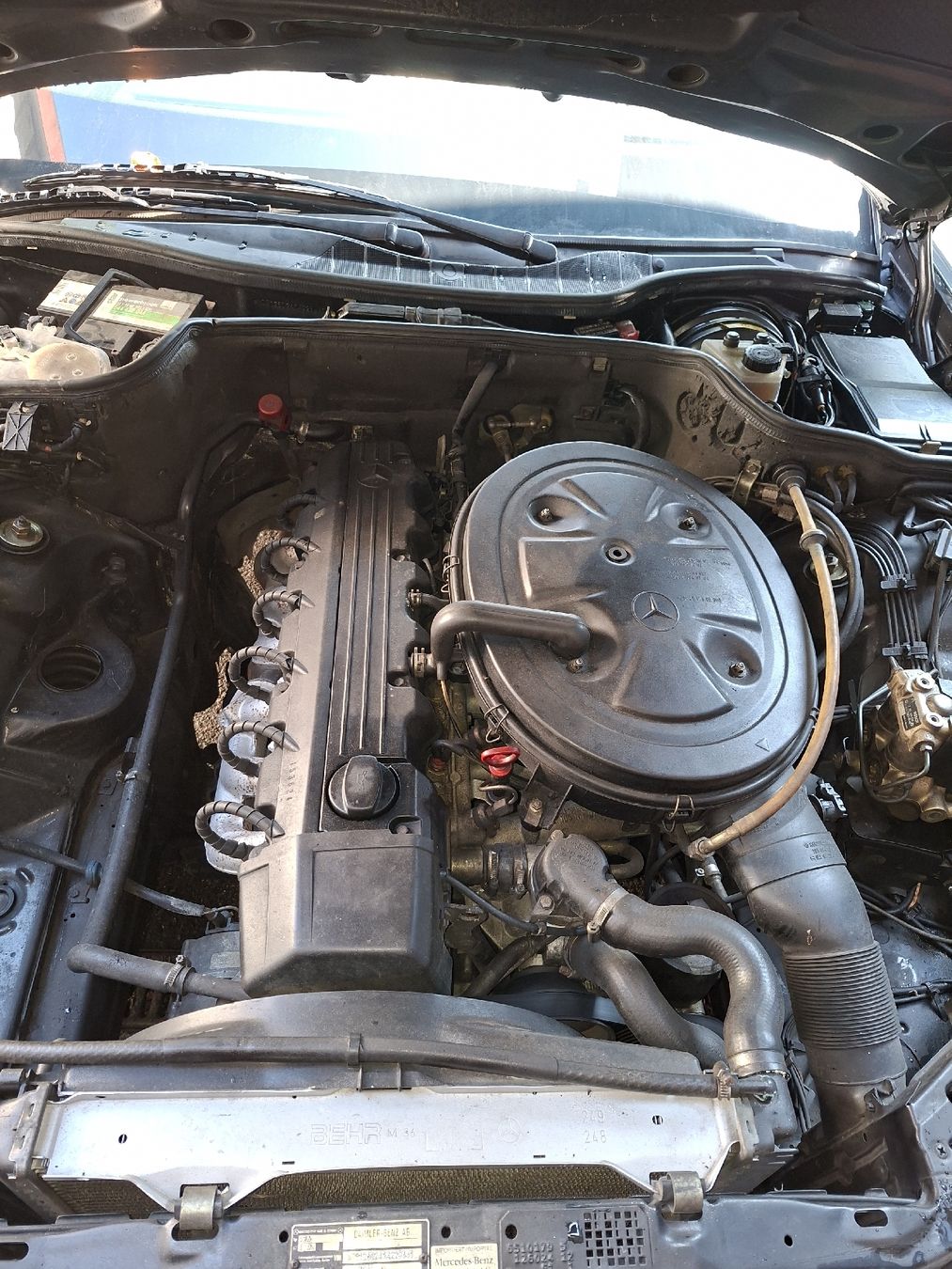 Mercedes-Benz Autos: Mercedes Benz 300 SE – Gebraucht aus Coeuve von mat_9w2y 2