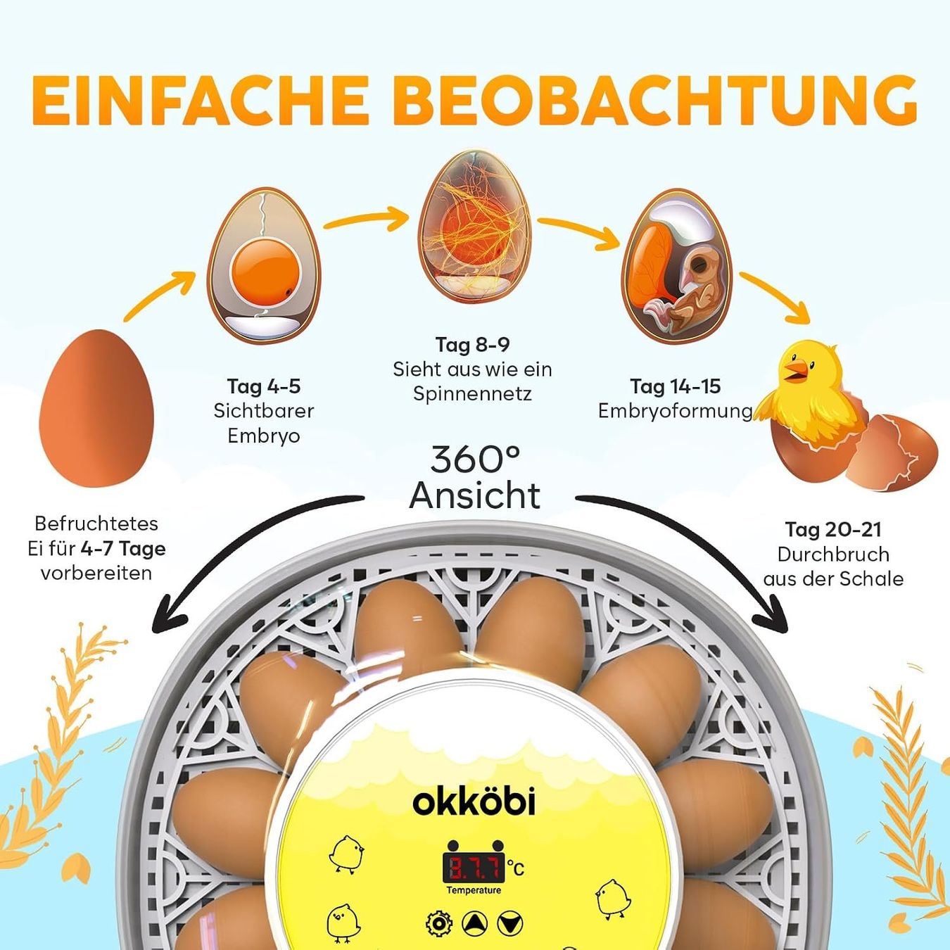 Altro in Accessori per animali: Brutautomat Vollautomatisch Eier Wenden 12-24 Eier – Nuovo e nell'imballaggio originale da Schaffhausen venduto da Gipfelgut 3