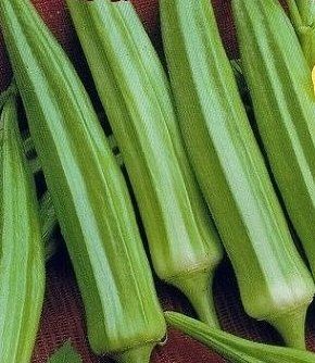 Piante & sementi: OKRA grün / 10 Samen – Nuovo (secondo la descrizione) da Hinteregg venduto da ERFOLG78