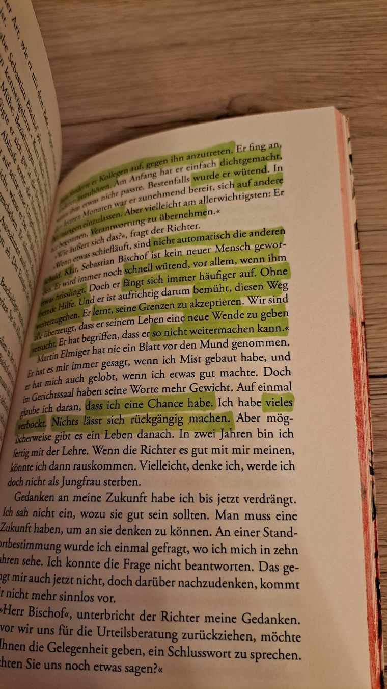 Libri: Geballte Wut, Petra Ivanov – Usato da Schaffhausen venduto da xJuliax 4