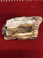 VERSTEINERTES HOLZ CA. 1,5 KG SCHWER NATURSTEIN