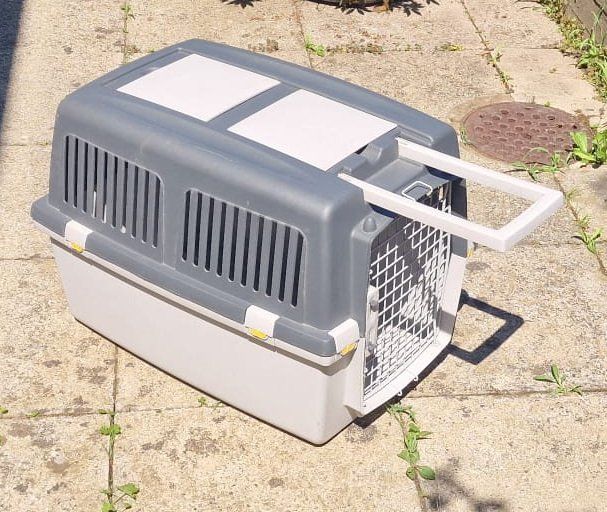 Trixie Cages, transport & sécurité: Hunde Transportbox Trixie Grösse 4 – D'occasion à Weiningen ZH par Sucaba1 2