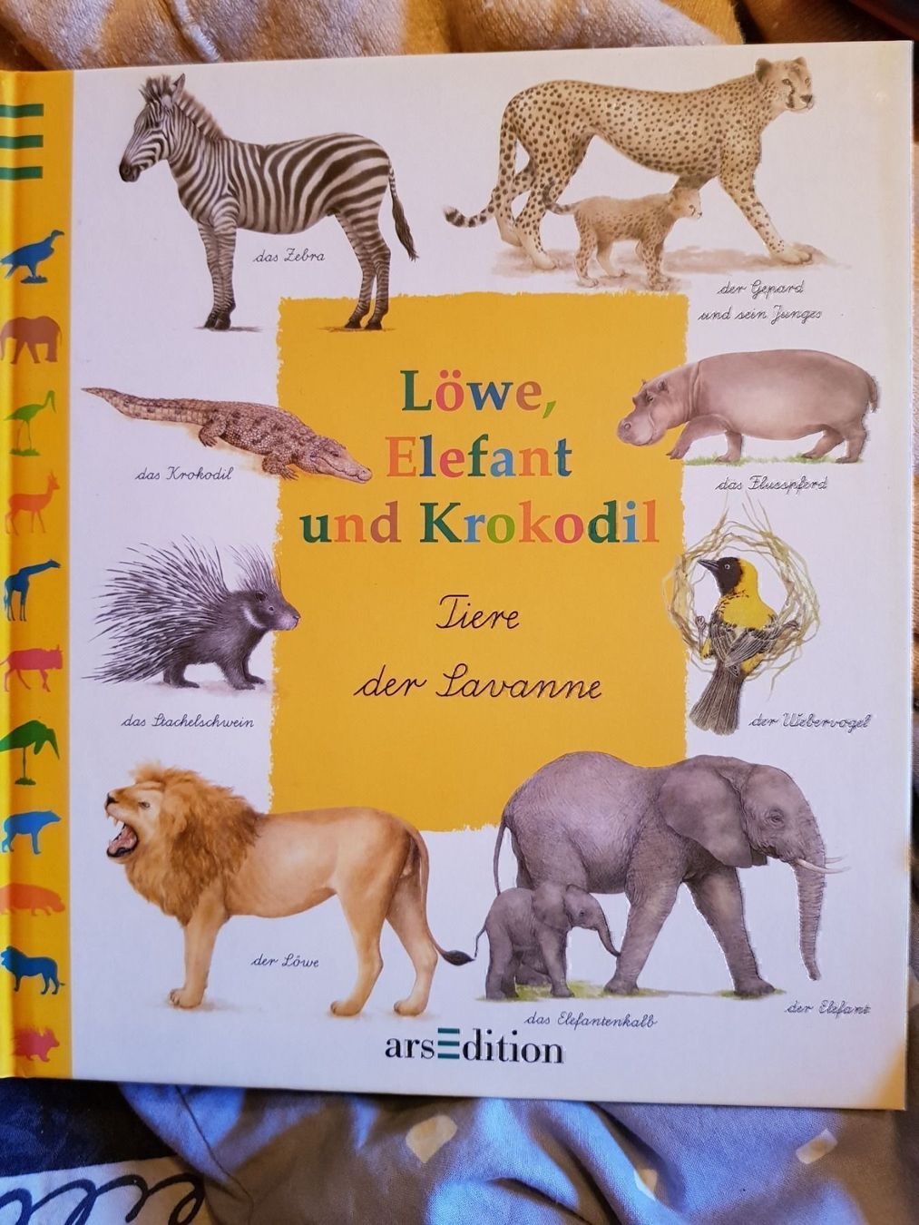 Libri: Buch Löwe, Elefant und Krokodil – Nuovo e nell'imballaggio originale da Schwarzenburg venduto da Flamingo07