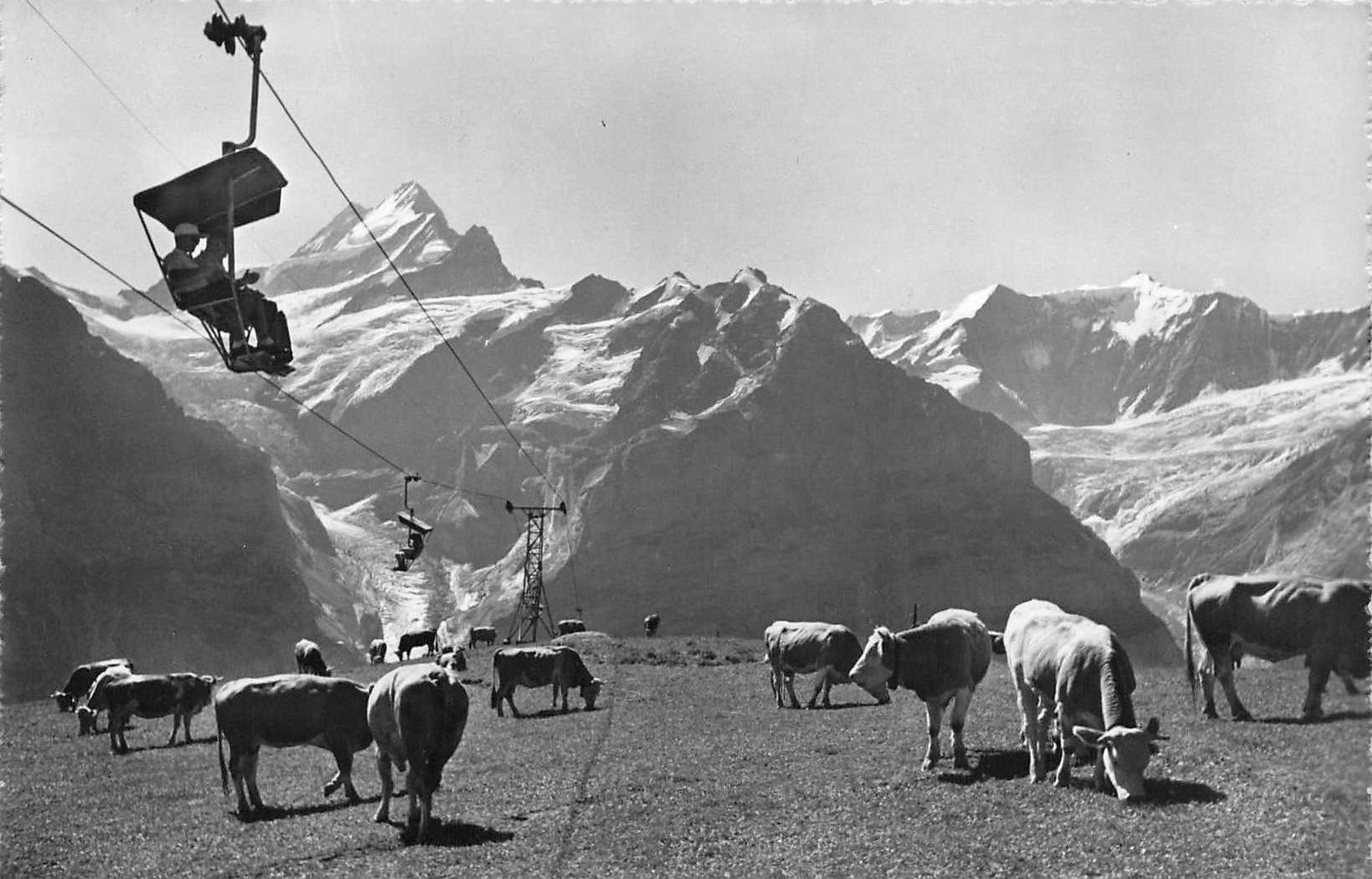 Cartoline postali: Bergbahn SEGGIOVIA SESSELBAHN Grindelwald – Usato da Biasca venduto da Blenio71
