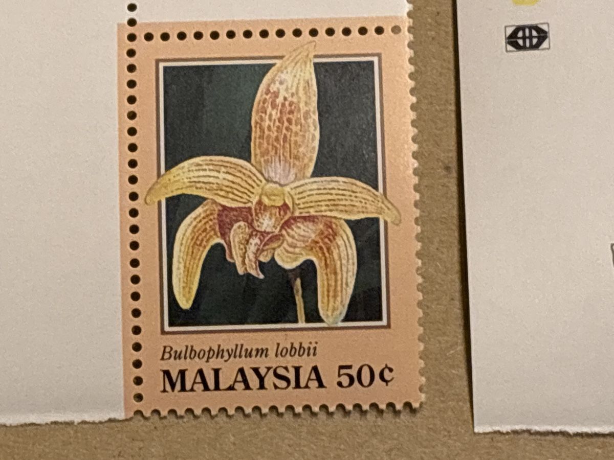 Tutti i francobolli: Orchideen Briefmarken Sammlung Malaysia – Nuovo e nell'imballaggio originale da Zürich venduto da engebrunau 2