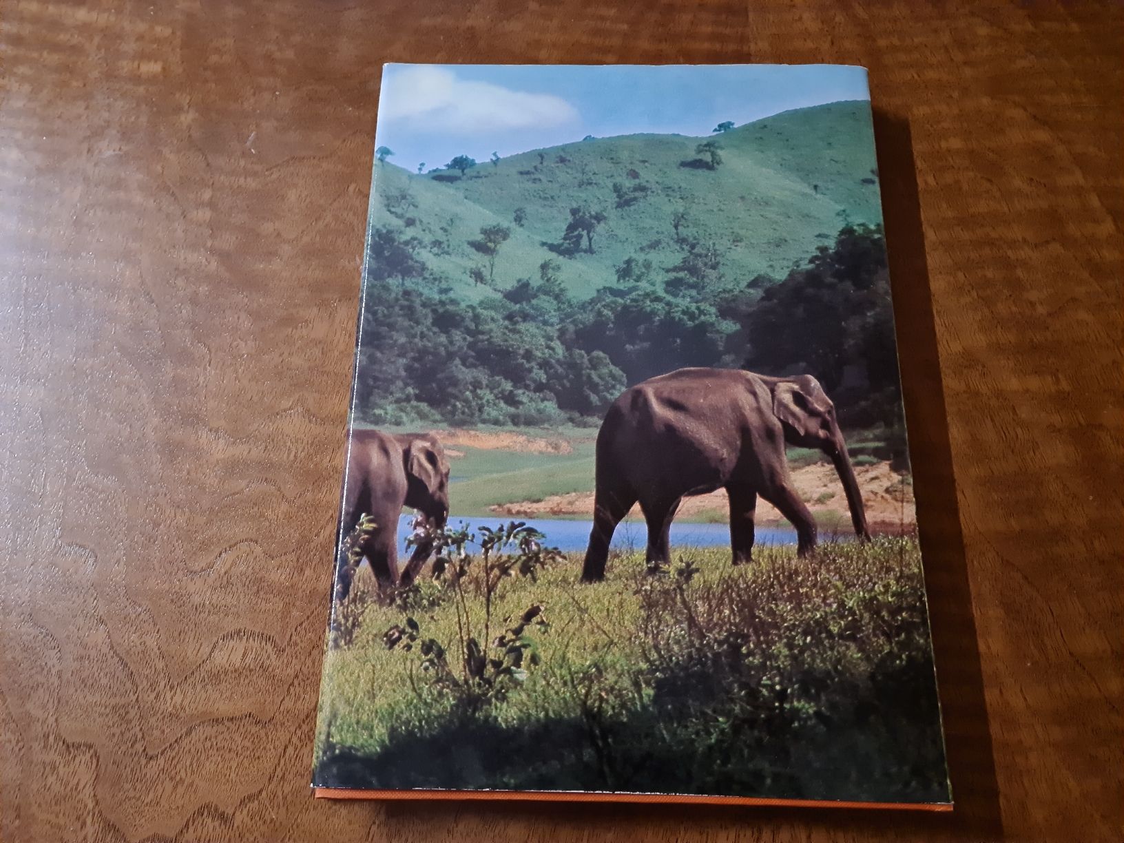 Libri: Zoo Indien – Usato da Erstfeld venduto da Uhu1980 5