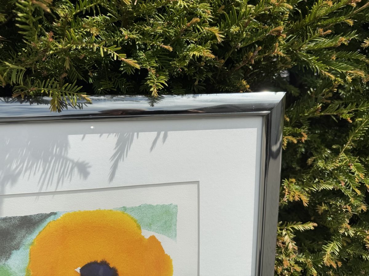 Foto & Immagini: Ferdinand Gehr, original signiert – Nuovo (secondo la descrizione) da Safenwil venduto da Corahund 3