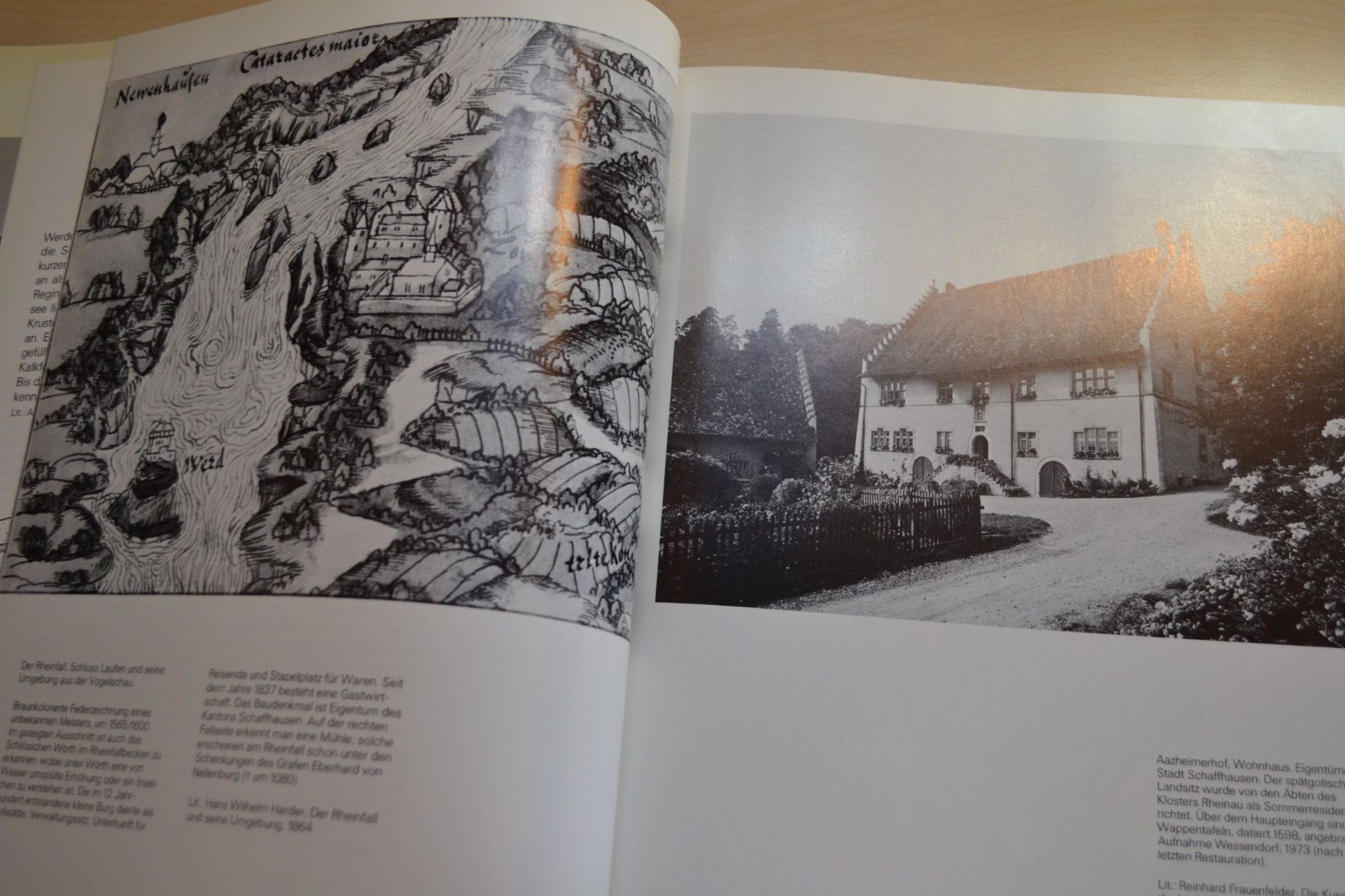 Libri: Neuhausen am Rheinfall – Usato da Beinwil am See venduto da kajak55 1