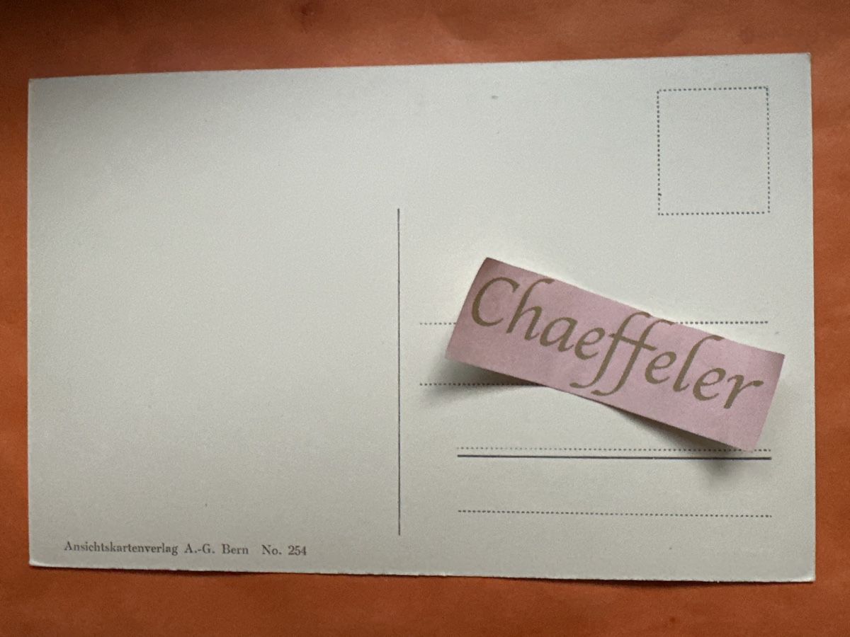 Cartoline postali: Lenk – Usato da Zürich venduto da Chaeffeler 1
