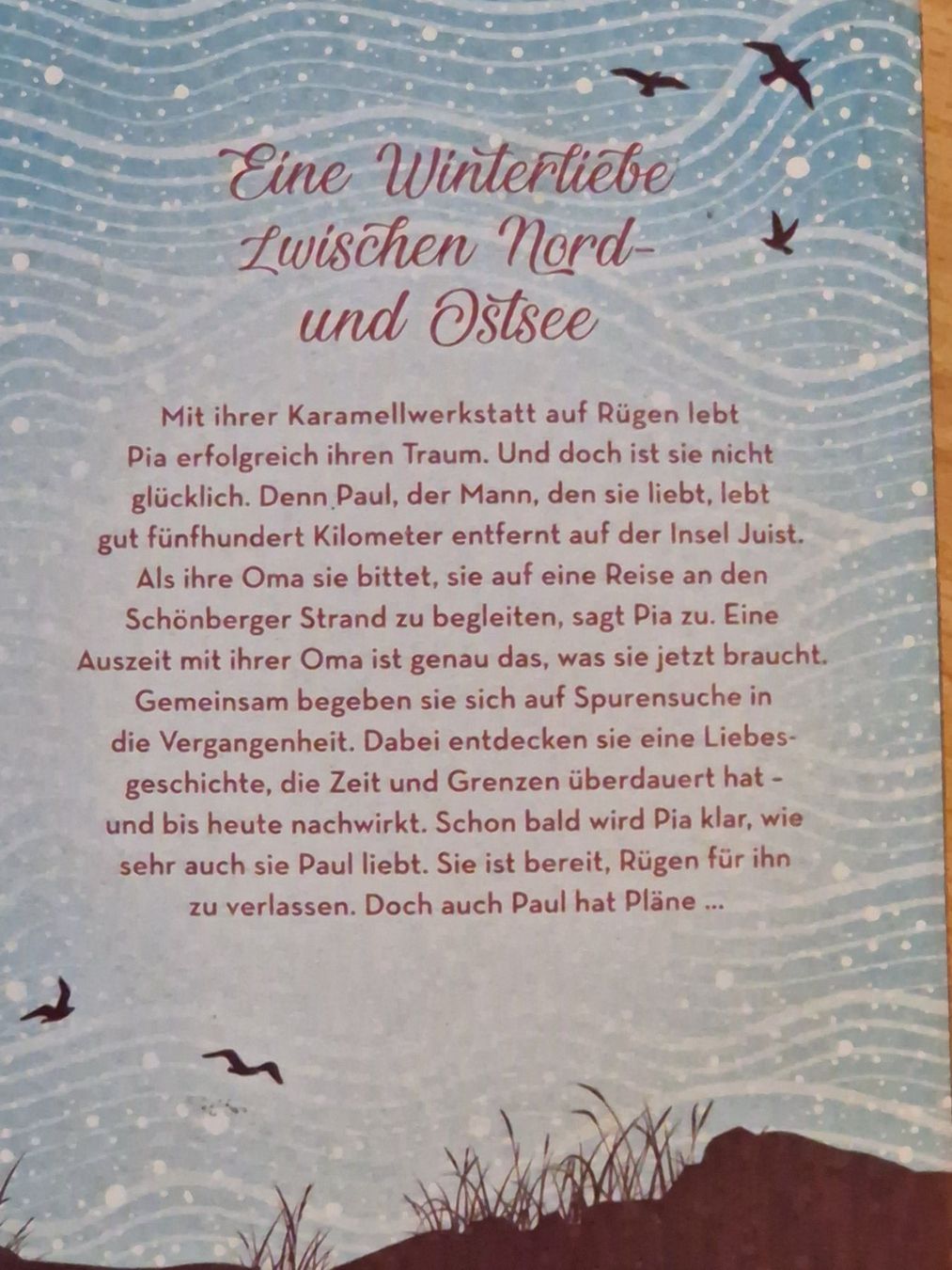 Libri: Anne Barns: Eisblumenwinter – Usato da Neuhausen am Rheinfall venduto da Alchimista 1