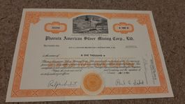 Aktie Phoenix American Silver Mining Corp. Ltd