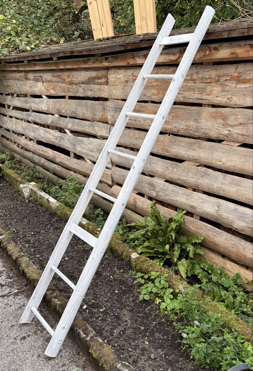 Scale: Holzleiter weiss 2.19m – Usato da Römerswil LU venduto da mr-max11